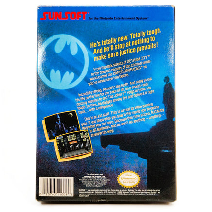 Batman The Video Game CIB Nintendo NES Very Good - Back of authentic game box